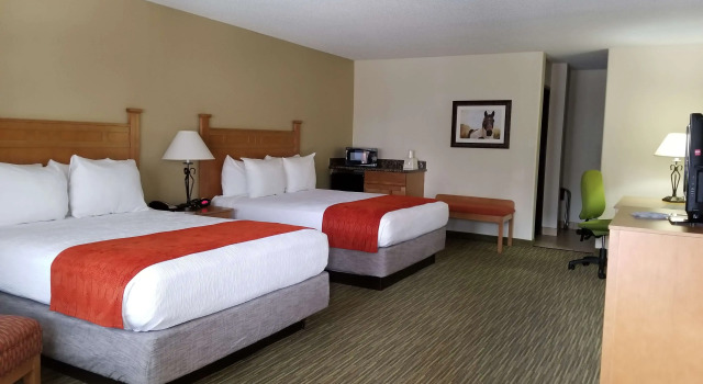 Четырёхместный номер Standard Best Western Paint Pony Lodge