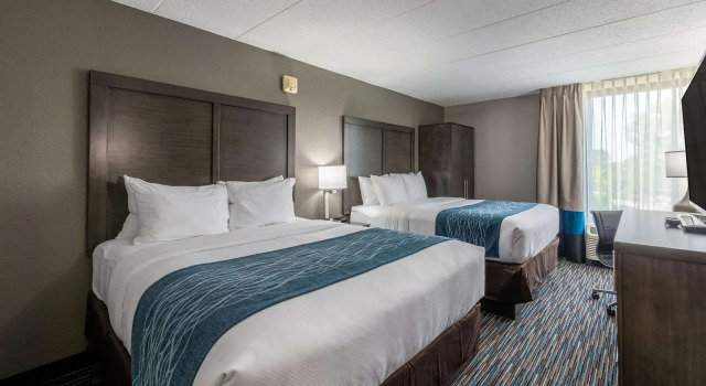 Четырёхместный номер Standard Comfort Inn Chicago Schaumburg - OHare Airport