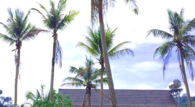 Lilac Cottage Homestay