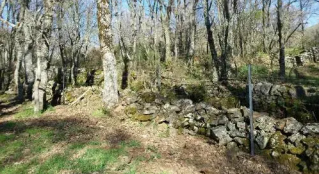 Casa Orgaz