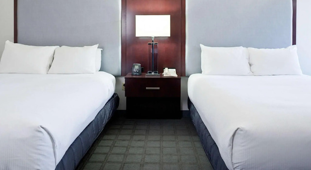 Четырёхместный номер Standard Hilton Scranton & Conference Center