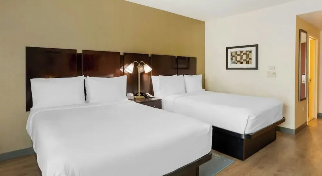Четырёхместный номер Standard City Express by Marriott King of Prussia