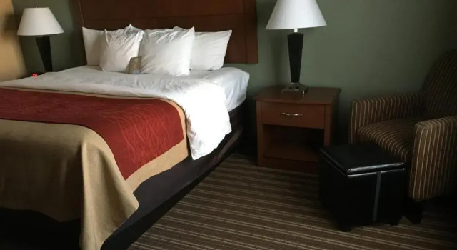 Standard- værelse Comfort Inn Jackson