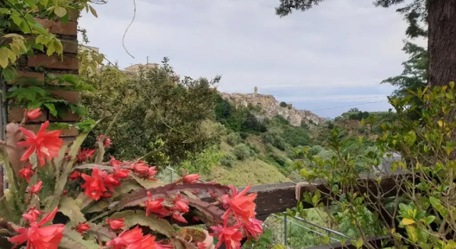 Casa Vacanze Fontanelle, Book Hotel Badolato Calabria