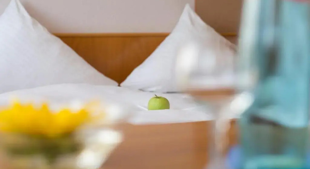 Номер Standard Hotel Gasthof Sonne