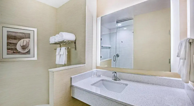 Номер Standard Fairfield Inn & Suites Van Canton Area