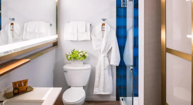 Двухместный номер Superior с видом на город Le Meridien Essex Chicago