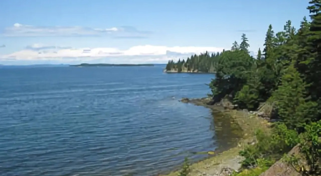 Dalton Cottage - Three Bedroom Home, Rezerwuj Dom wakacyjny Deer Isle Stany Zjednoczone