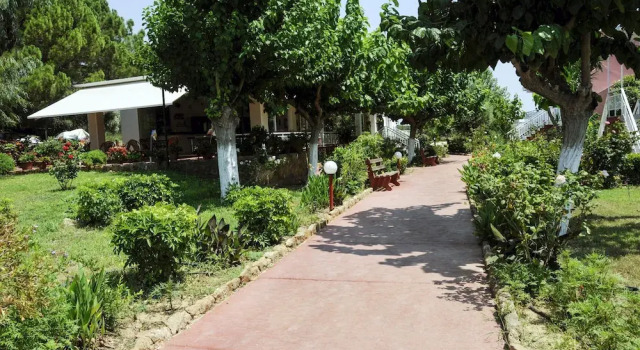 Apartments Hotel Alexandros, Book Apartment Pineios Periphery of Western Greece