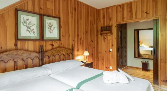 Полулюкс Parador de Bielsa