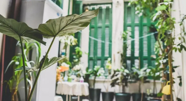 Апартаменты Neoclassical Apartment near Acropolis - LivingStone Crystal