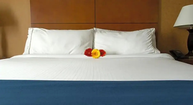 Двухместный люкс Sandman Hotel & Suites London Downtown