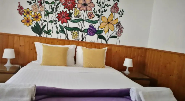 Номер Standard Surf House Helena