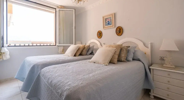 Sur Suites Palmeras 4