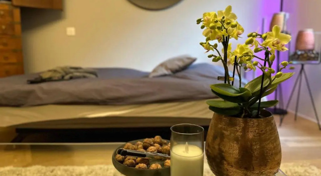 Sweetwater Privé Wellness, Réserver Hôtel Hôtels SPA à Groene Gordel, SPA