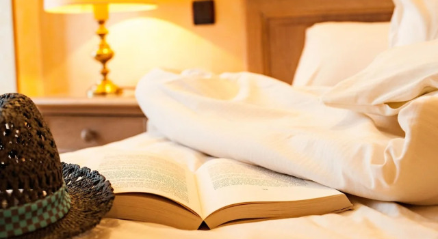 Номер Standard Hotel Du Commerce Spa