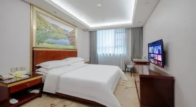 Люкс Deluxe Vienna Hotel Huizhou Chenjiang Avenue