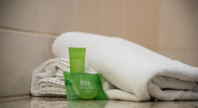 Двухместный номер Executive ibis Styles Rio Preto Monte Libano