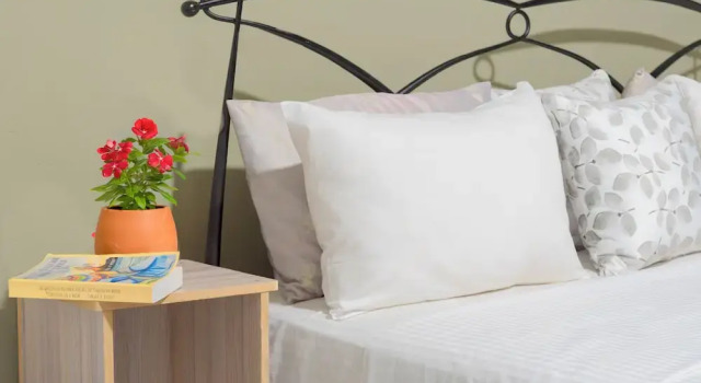 Bliss Loft Negombo CMB