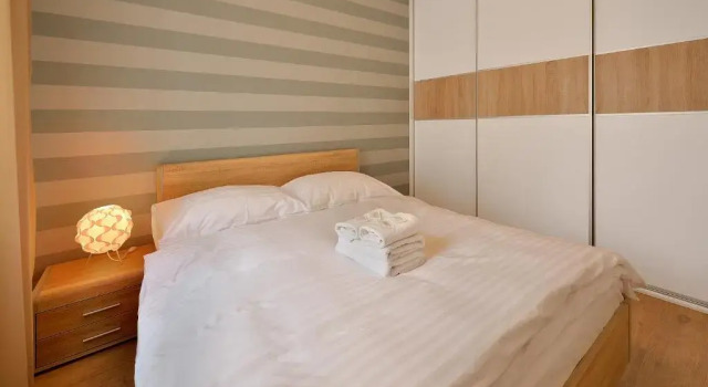 Апартаменты Deluxe c 1 комнатой Charming & Cozy Ambiente Apartments