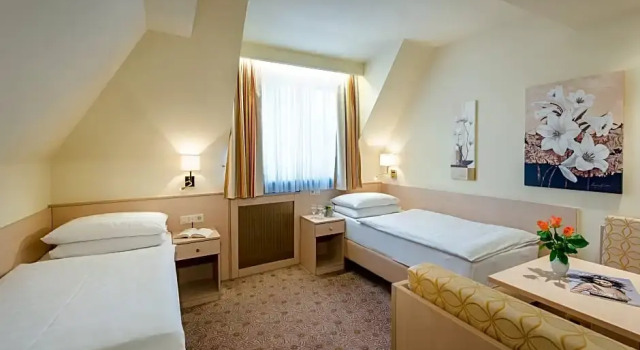 Номер Standard Hotel Scherer