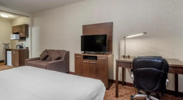 Двухместный люкс c 1 комнатой Devonian Hotel and Suites