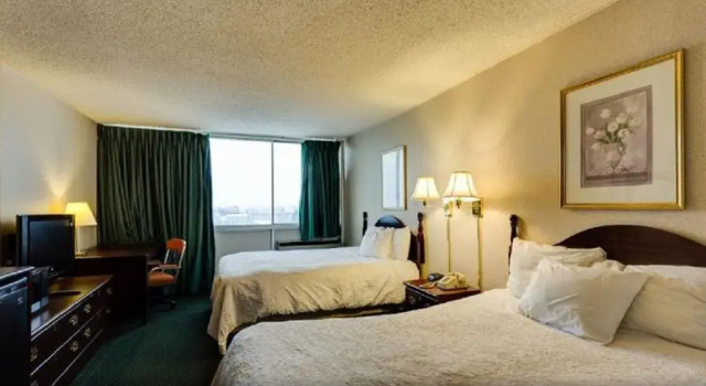Двухместный номер Standard University Hotel and Suites