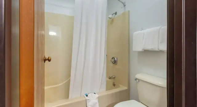 Четырёхместный номер Standard Polynesian Hotel & Suites Wisconsin Dells/Lake Delton