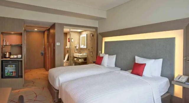 Номер Standard Novotel Ahmedabad