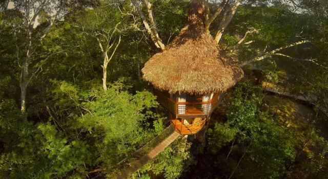 Коттедж Treehouse Lodge