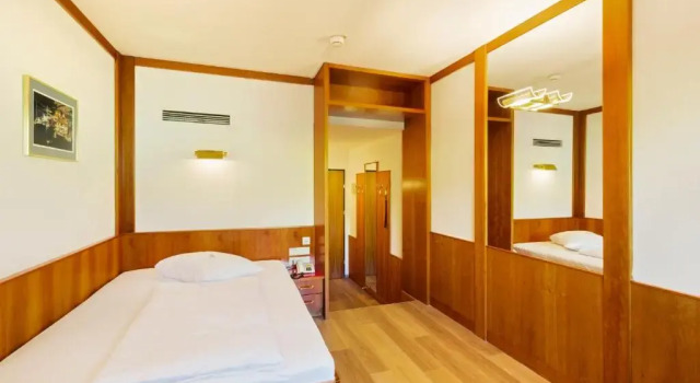 Одноместный номер Business Vienna Sporthotel