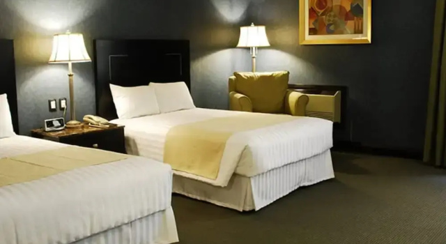 Двухместный номер Standard Royal Garden Reynosa