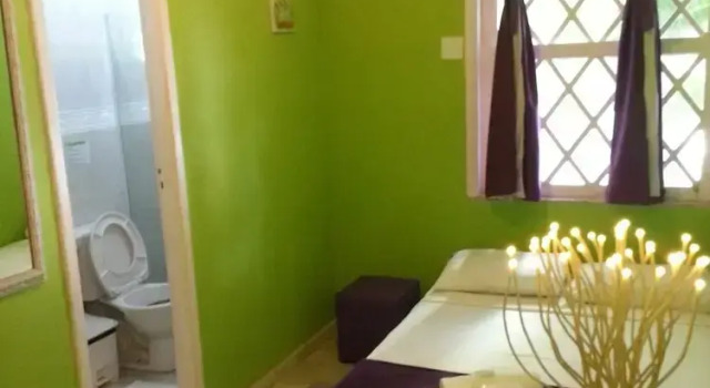 Двухместный номер Standard Hotel Pousada Papaya Verde