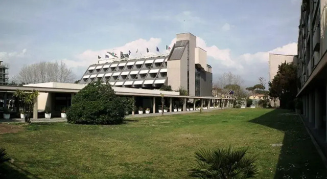 Dune Hotel & RTA Boschetto Holiday, Забронировать Отель Отели Камайоре 4 звезды, 4*