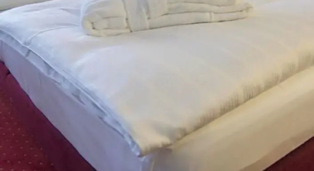 Номер Comfort Sachsenwald Hotel Reinbek