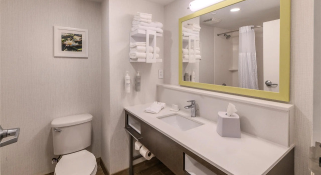 Standard Zimmer Hampton Inn Jasper, AL