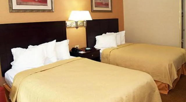 Четырёхместный номер Standard Quality Inn Media