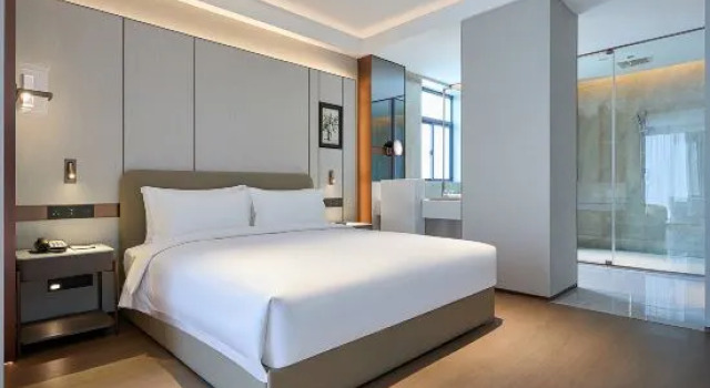 Люкс Business GUUS_HOTEL