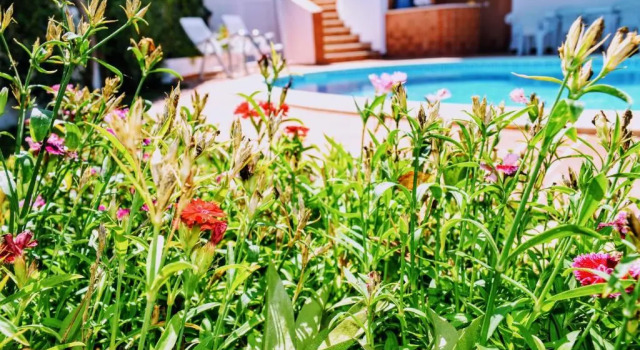Вилла Albufeira Elegance