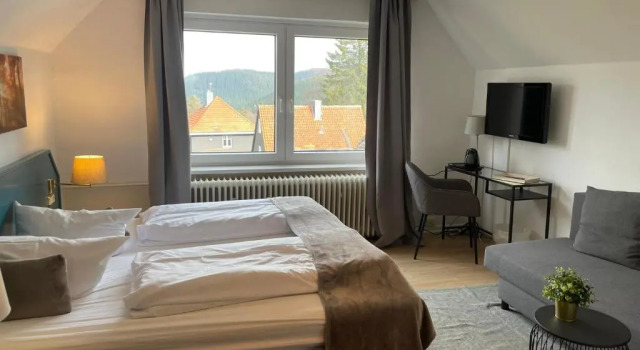 Двухместный номер Standard Berghotel HARZ