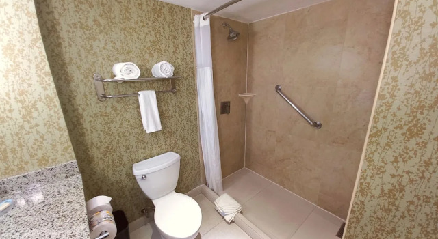 Двухместный люкс Holiday Inn Express & Suites Cuernavaca by IHG