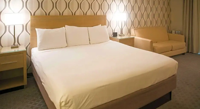 Номер Business Radisson Hotel Duluth-Harborview
