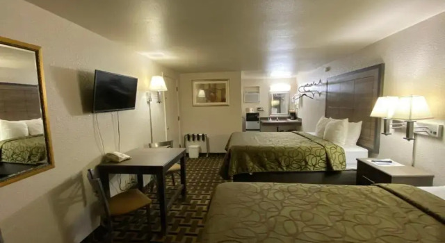 Номер Standard Motel In The Pines