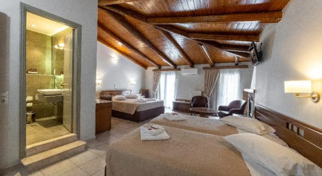 Номер Standard Parnassos Delphi Hotel
