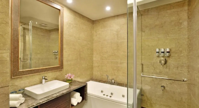Двухместный номер Deluxe с видом на горы Four Points by Sheraton Srinagar
