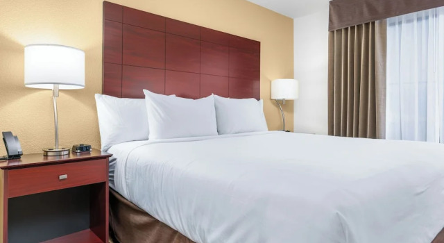 Двухместная студия Cobblestone Hotel & Suites - Lynden