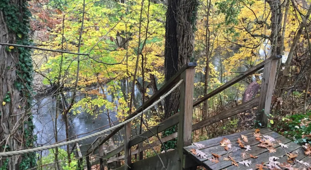 Коттедж Superior с 4 комнатами с видом на реку Goldberry Woods- A Modern Farm Resort