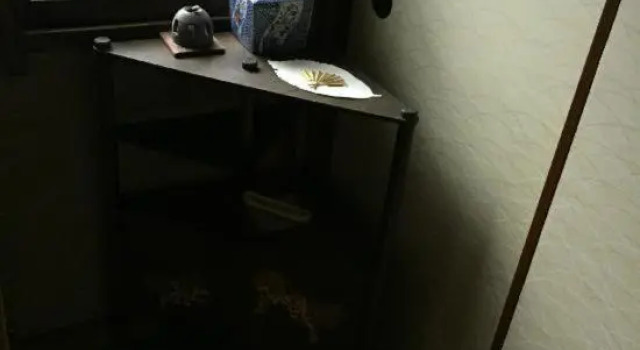 Двухместный номер Standard Tama Ryokan