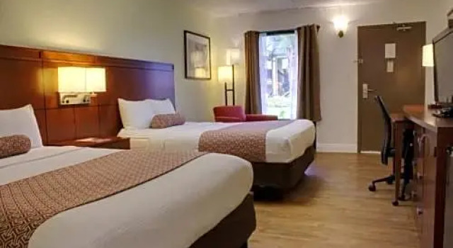 Четырёхместный номер Standard Winter Haven Suites & Conference Center