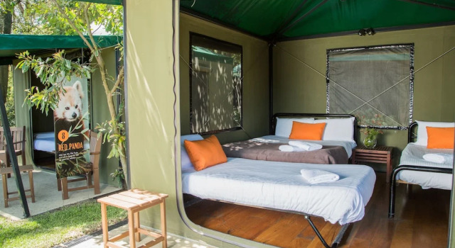 Roar And Snore, Reserva ahora Casa o chalet Mosman Sídney
